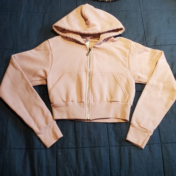 2/$20 Cropped American Apparel Hoodie - Picture 1 of 2